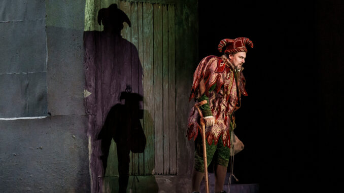 Lyric Opera's Rigoletto Dress